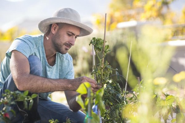 Est-ce que l'immobilier prend de la valeur ?